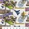 Sykel Enterprises-West Virginia University Cotton Fabric-West Virginia Mountaineers Scenic Map Cotton Quilting Fabric